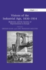 Image for Visions of the industrial age, 1830-1914  : modernity and the age of representation in Europe