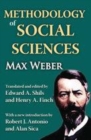 Image for Methodology of Social Sciences