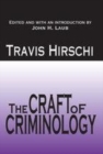 Image for The Craft of Criminology: Selected Papers
