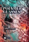 Image for Polymer glasses