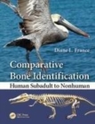 Image for Comparative bone identification: human subadult to nonhuman