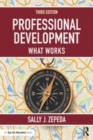 Image for Professional development  : what works