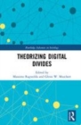 Image for Theorizing Digital Divides
