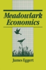 Image for Meadowlark economics: perspectives on ecology, work, and learning