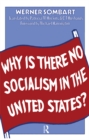 Image for Why is there no socialism in the United States?