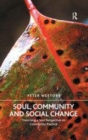 Image for Soul, community and social change  : theorising a soul perspective on community practice
