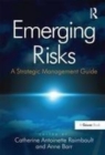 Image for Emerging risks  : a strategic management guide