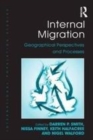 Image for Internal Migration: Geographical Perspectives and Processes