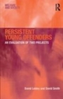 Image for Persistent young offenders  : an evaluation of two projects
