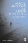 Image for African Americans and Jungian psychology  : leaving the shadows
