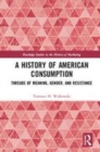 Image for A history of American consumption  : threads of meaning, gender, and resistance