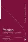 Image for Persian  : a comprehensive grammar