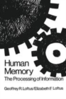 Image for Human memory: the processing of information
