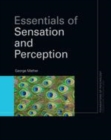 Image for Essentials of sensation and perception