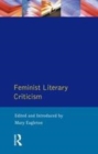 Image for Feminist Literary Criticism