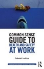 Image for Common sense guide to health and safety at work