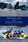 Image for Whales and dolphins: cognition, culture, conservation and human perceptions