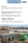 Image for Seasonal workers in Mediterranean agriculture: the social costs of eating fresh