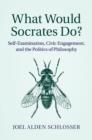 Image for What would Socrates do?: self-examination, civic engagement, and the politics of philosophy