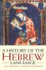 Image for A history of the Hebrew language.
