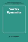 Image for Vortex dynamics