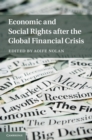 Image for Economic and Social Rights after the Global Financial Crisis