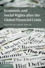Image for Economic and social rights after the global financial crises