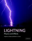 Image for Lightning: physics and effects