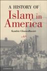 Image for A history of Islam in America: from the new world to the new world order