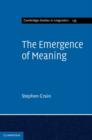 Image for The emergence of meaning