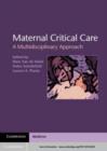 Image for Maternal critical care: a multidisciplinary approach