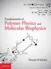 Image for Fundamentals of Polymer Physics and Molecular Biophysics