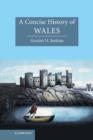 Image for A concise history of Wales