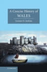 Image for Concise History of Wales