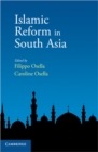 Image for Islamic Reform in South Asia