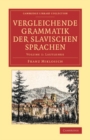 Image for Vergleichende Grammatik Der Slavischen Sprachen: Volume 1, Lautlehre