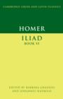 Image for Iliad, book VI