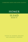 Image for Homer: Iliad Book VI
