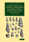 Image for Description of the Fossil Remains of Mollusca Found in the Chalk of England: Cephalopoda