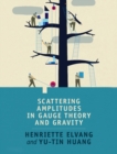 Image for Scattering Amplitudes in Gauge Theory and Gravity