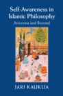 Image for Self-Awareness in Islamic Philosophy: Avicenna and Beyond