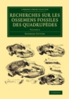 Image for Recherches Sur Les Ossemens Fossiles Des Quadrupèdes: Volume 4