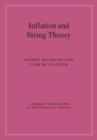 Image for Inflation and string theory