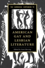 Image for Cambridge Companion to American Gay and Lesbian Literature