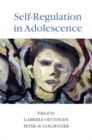 Image for Self-Regulation in Adolescence