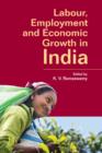 Image for Labour, employment and economic growth: the Indian experience
