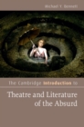 Image for The Cambridge introduction to theatre and literature of the absurd