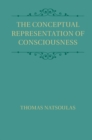 Image for Conceptual Representation of Consciousness
