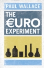 Image for The euro experiment