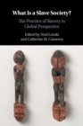Image for What is a slave society?  : the practice of slavery in global perspective